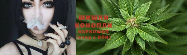 трава Краснослободск